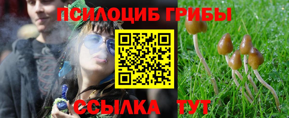 Псилоцибиновые грибы MAGIC MUSHROOMS  Вход с VPN  Мариинск 
