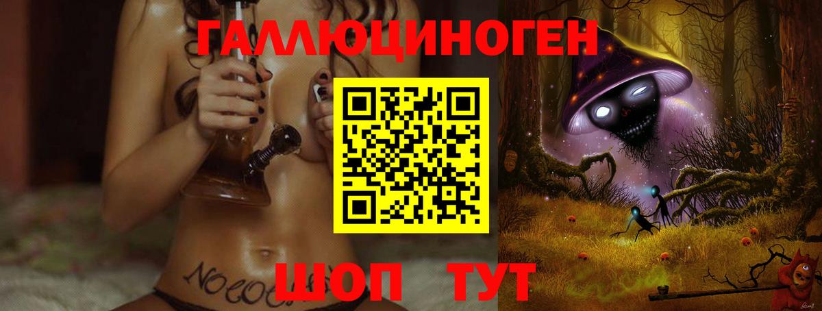 Галлюциногенные грибы Psilocybine cubensis Мариинск